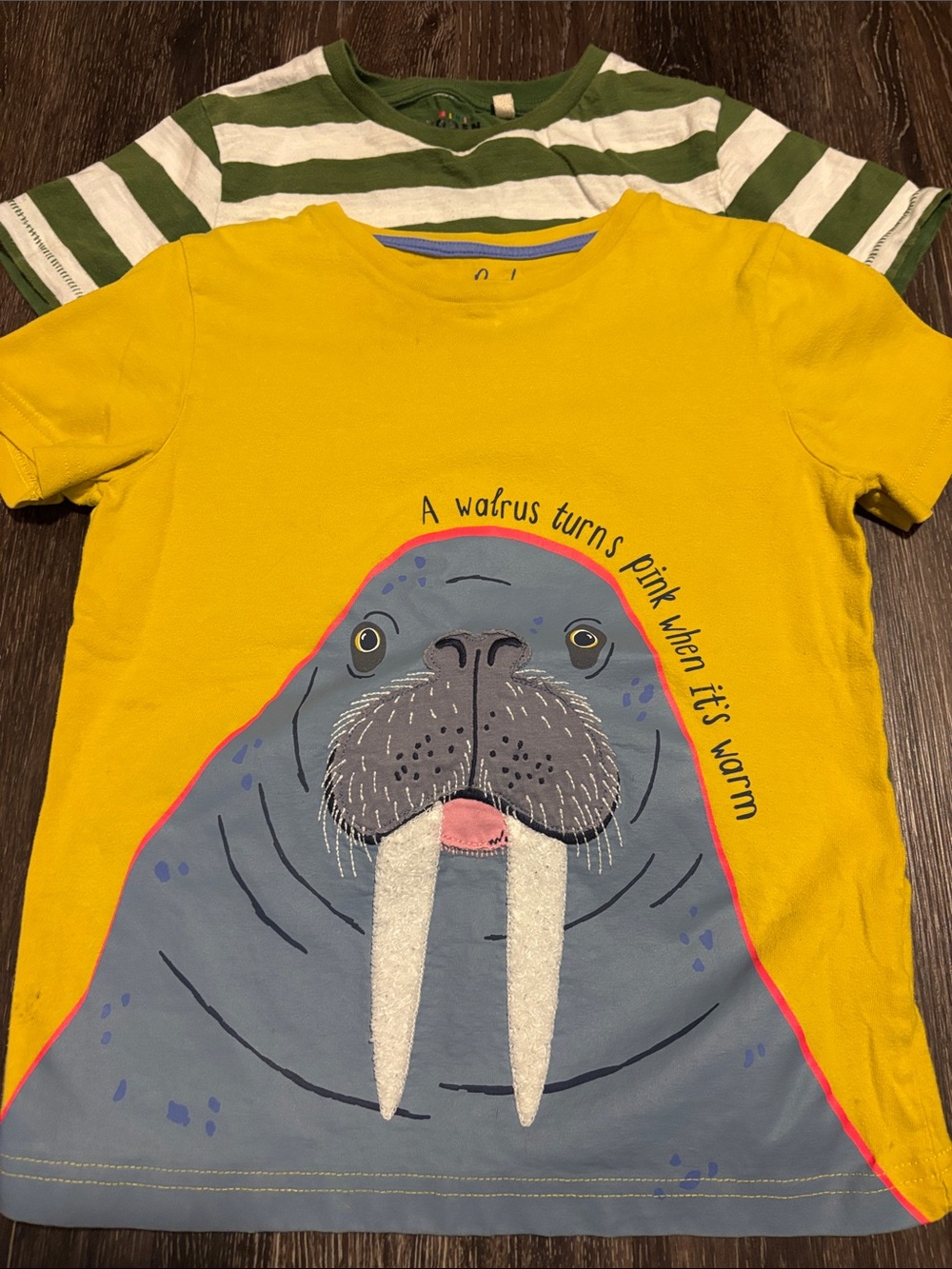 Mini Boden 2 Piece 7-8Y Short Sleeve Tees